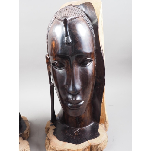 215 - A pair of Central African (Kenyan) ebony male and female heads, 18 1/2
