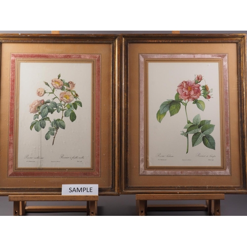 455 - A set of four Redoute rose prints, in velvet lined mount and gilt frames