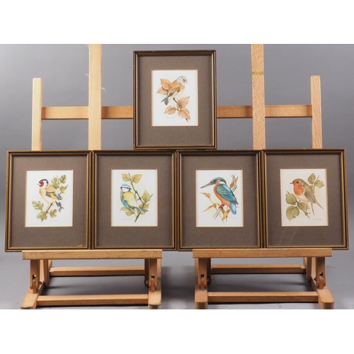 469 - David Mead: five watercolour studies, British birds, 5