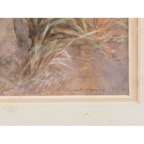 491 - English late 19th century school: watercolours, 