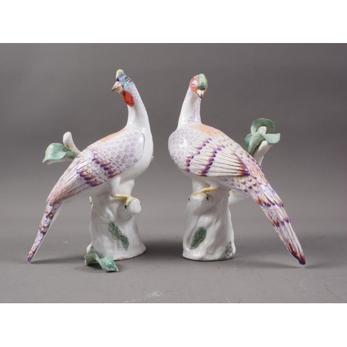 5 - A pair of Royal Crown Staffordshire models of exotic birds, by M Doubell Miller, 8 1/2