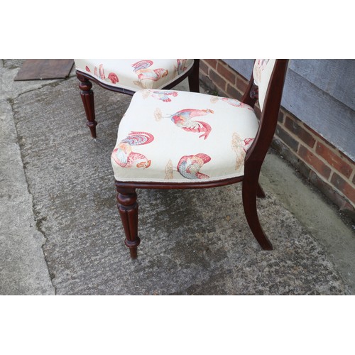 611 - A set of six late Victorian mahogany showframe chairs with padded backs and stuffed over seats, upho... 