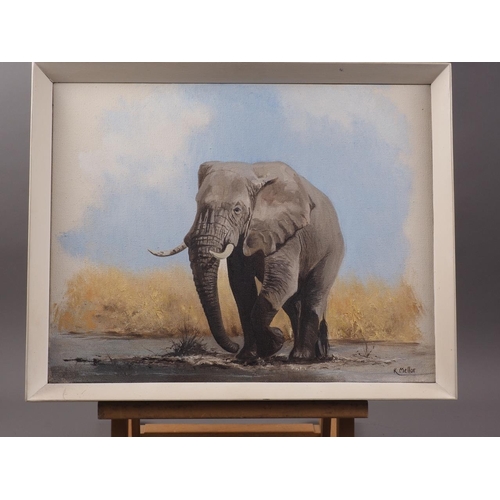 394 - David Shepherd: two colour prints, elephants, and an oil on canvas elephant study