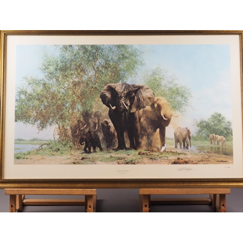 394 - David Shepherd: two colour prints, elephants, and an oil on canvas elephant study