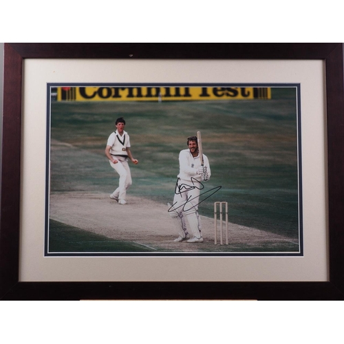 407 - A colour photograph, signed by Ian Botham, in strip frame