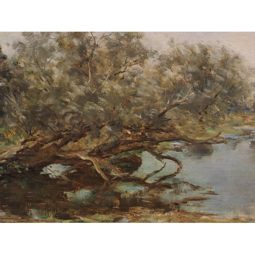 469 - William Darling Mckay?: oil on panel, fallen tree by a river, 11 1/4