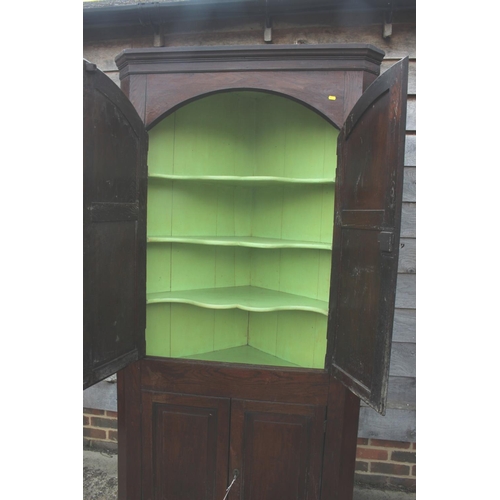 525 - An 18th century provincial oak corner cupboard, the shaped interior enclosed two arch top doors over... 