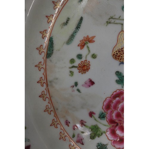 120 - A pair of Chinese famille rose and exotic bird decorated plates, 9