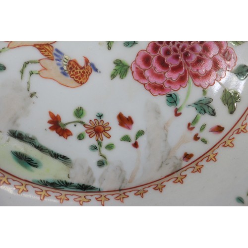 120 - A pair of Chinese famille rose and exotic bird decorated plates, 9