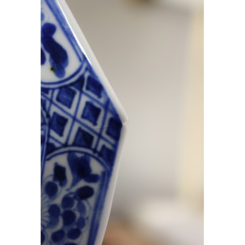 92 - A pair of Kang Hsi blue and white octagonal plates, 5