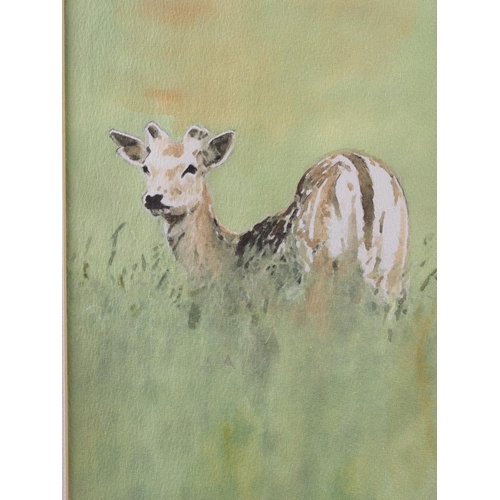 315 - Paul: two watercolours of deer, 5