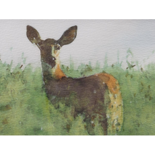 315 - Paul: two watercolours of deer, 5