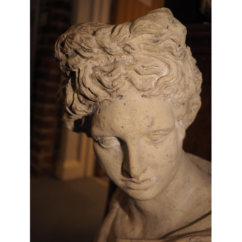 202 - A composition bust of Apollo Belvedere, 31