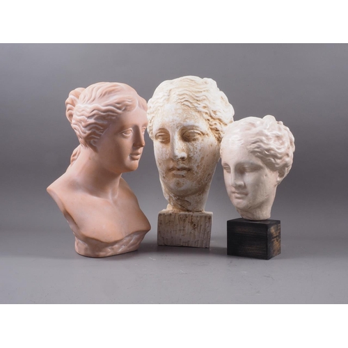 205 - A composition bust of Hygeia, 14 1/4