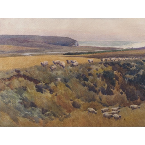 328 - Harry Napper: watercolours, headland scene with sheep, 12 1/2