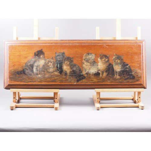 364 - Three 19th century oils on hardwood panels, studies of kittens, 12 1/2