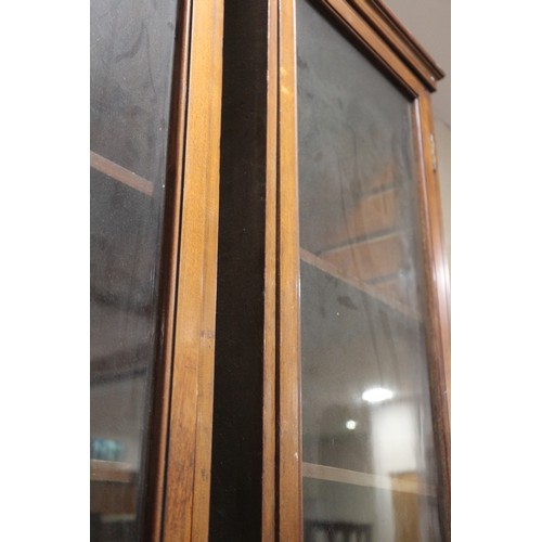 389 - A pair of 19th century glazed mahogany display cases with adjustable shelves, 14