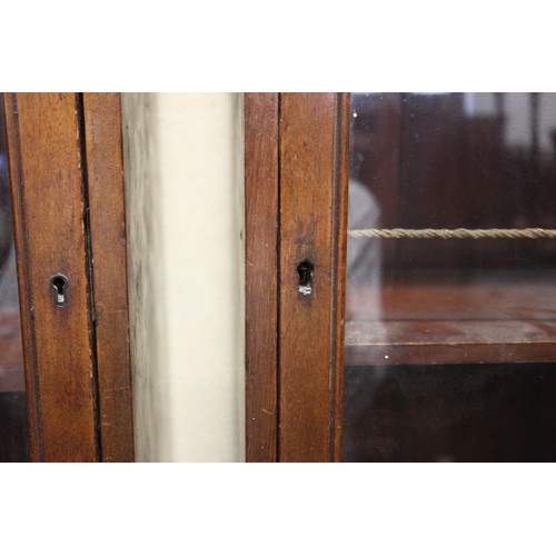 389 - A pair of 19th century glazed mahogany display cases with adjustable shelves, 14