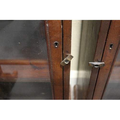 389 - A pair of 19th century glazed mahogany display cases with adjustable shelves, 14