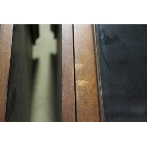 389 - A pair of 19th century glazed mahogany display cases with adjustable shelves, 14