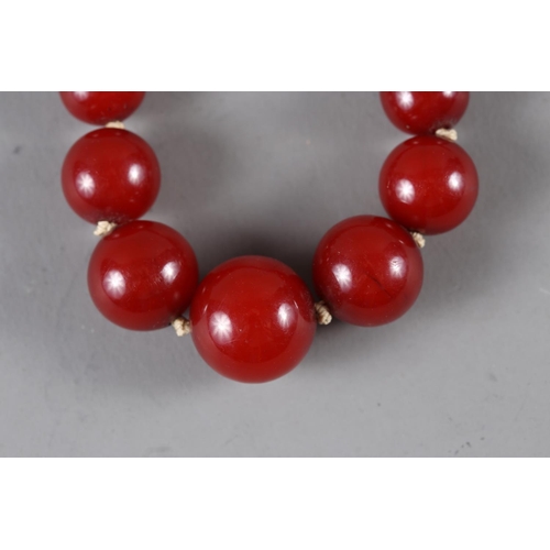 281 - A cherry Bakelite circular graduated bead necklace, 17