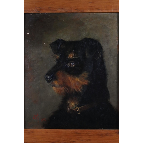 389 - Gurthurd Hulbert: two 19th century oils on boards, Jack Russell, 10