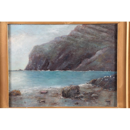 393 - Early 20th century oil on board, coastal landscape with cliffs, 8 1/2