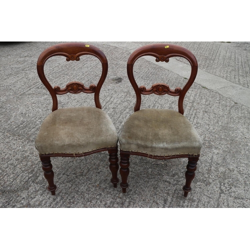 558 - A set of six Victorian carved mahogany loop back chairs, upholstered in a green velour, on carved ca... 