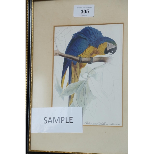 305 - After John James Audubon: a print, study of a flamingo, in Hogarth frame, five other similar studies... 