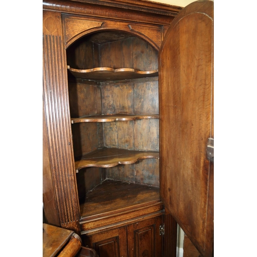 423 - A George III oak corner cupboard enclosed arch top panel door with flanking fluted pilasters, over t... 