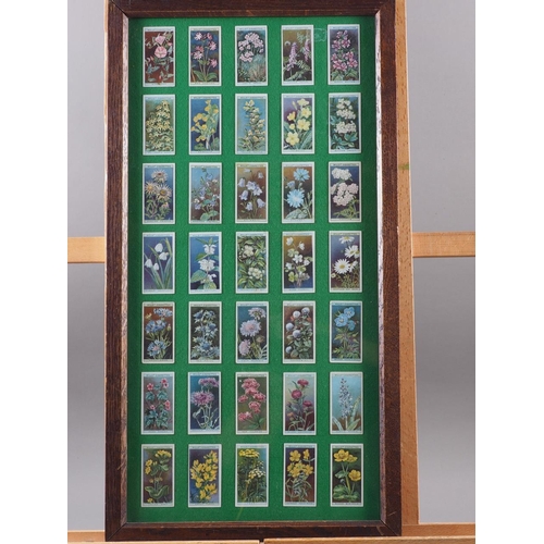 201 - Eight framed part sets of cigarette cards, including Castella British Aviation, Wills Cigarettes flo... 