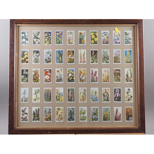 201 - Eight framed part sets of cigarette cards, including Castella British Aviation, Wills Cigarettes flo... 