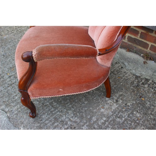 365 - A carved and polished as walnut open armchair, button upholstered in a salmon velour and a companion... 