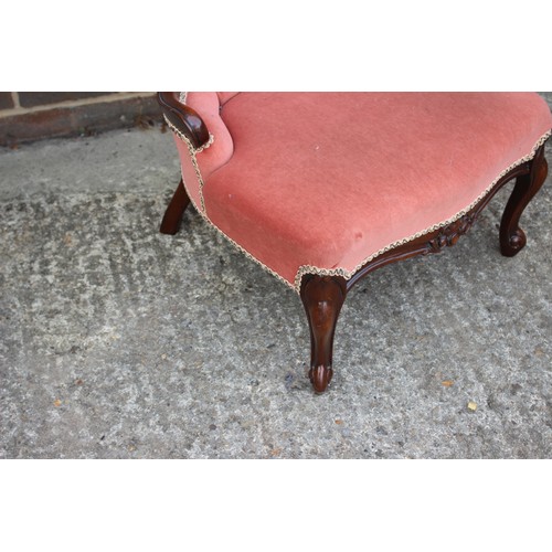 365 - A carved and polished as walnut open armchair, button upholstered in a salmon velour and a companion... 