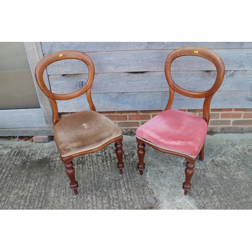 402 - A 19th century mahogany showframe chair, button upholstered in a blue velour, on cabriole supports, ... 