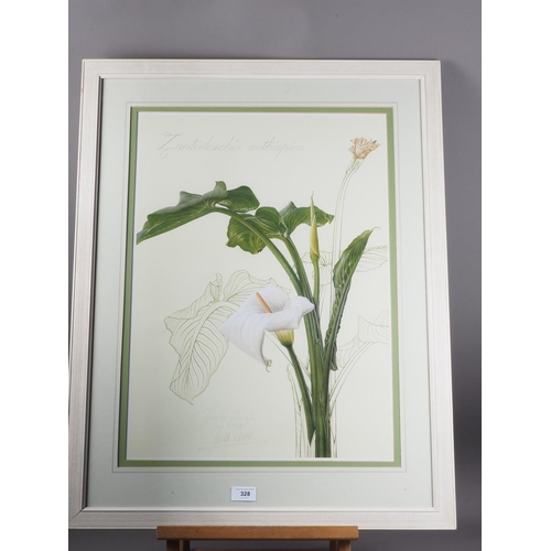 328 - Thalia Lincoln: a signed colour print, Zantedeschia Aethiopica, in strip frame