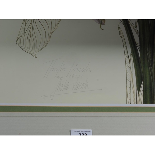 328 - Thalia Lincoln: a signed colour print, Zantedeschia Aethiopica, in strip frame