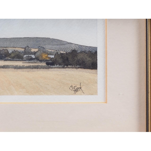 392 - Steve Cooke: watercolours, Wiltshire landscape, 3 1/4