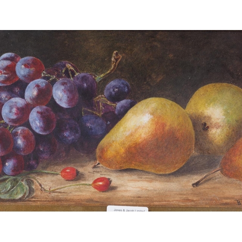 370 - B Dutton: a Victorian watercolour, still life with grapes, berries and pears, 6 1/4