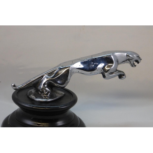 192 - A Jaguar Mascot. An F. G. Crosby design with a pear-shaped foot, 1938-1951 suitable for SS and MkV m... 