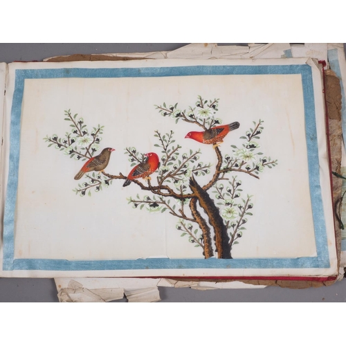 137 - An album of Chinese watercolours, boats, and a similar album, birds (losses and damages)