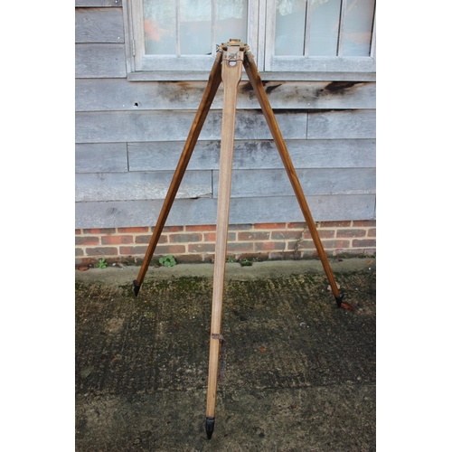 171 - A surveyor's wooden tripod with brass mounts, 60