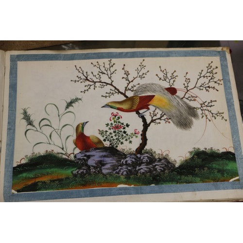 137 - An album of Chinese watercolours, boats, and a similar album, birds (losses and damages)