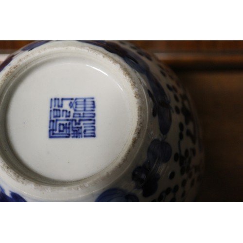 91 - A Chinese blue and white bulbous vase with figures carrying a vase, bird and insect decoration, seal... 