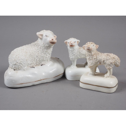 11 - Three 19th century Staffordshire pottery figures of sheep, largest 2 1/4