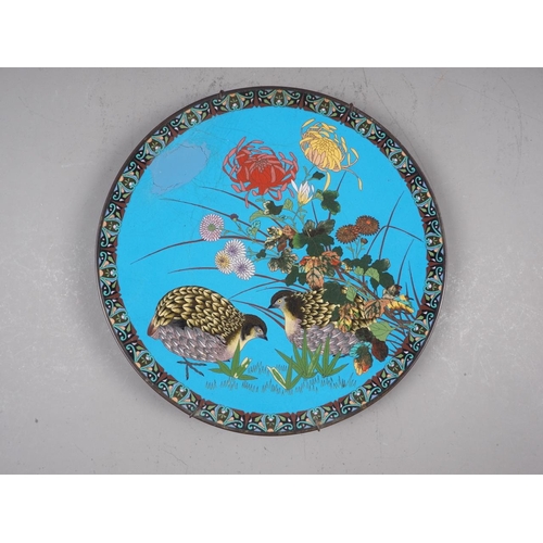 121 - A cloisonne wall plaque, decorated with quails, on a blue ground, 12