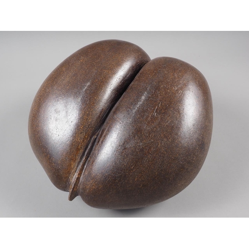 222 - A polished Coco de Mer (International buyers may require a Cites Certificate prior to export)