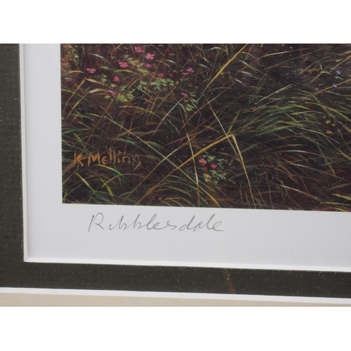 398 - K Melling: a signed limited edition colour print, 