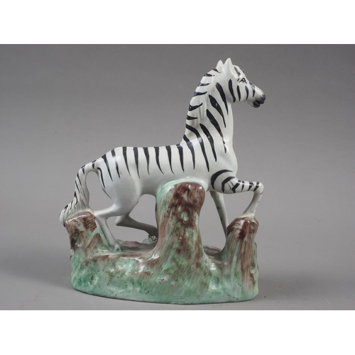 7 - A 19th century Staffordshire figure of a zebra, 5 3/4