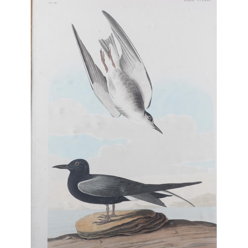 360 - John James Audubon 